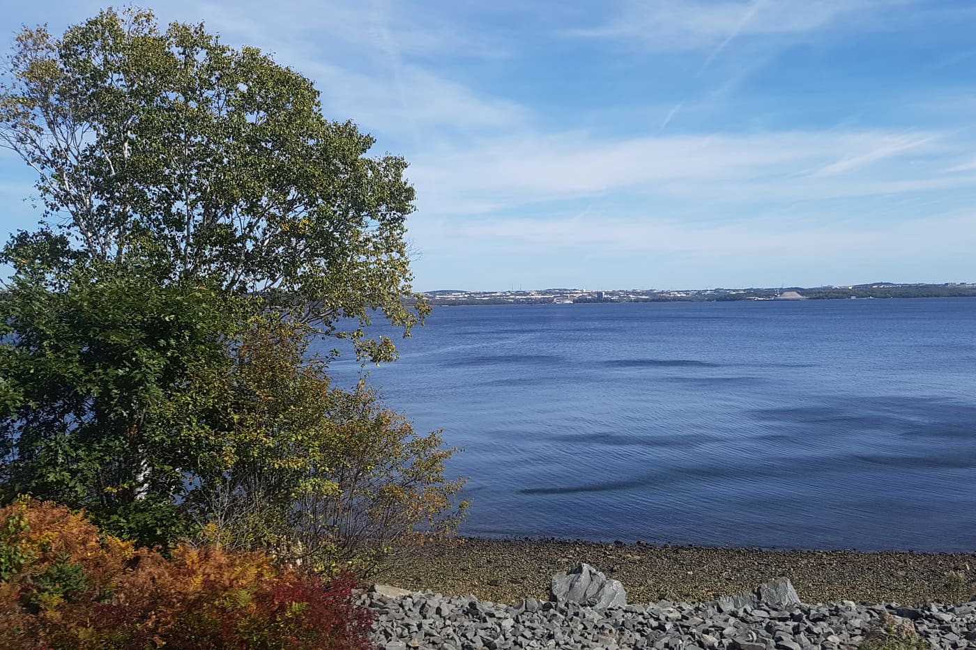 Bedford Basin from the Bedford shore